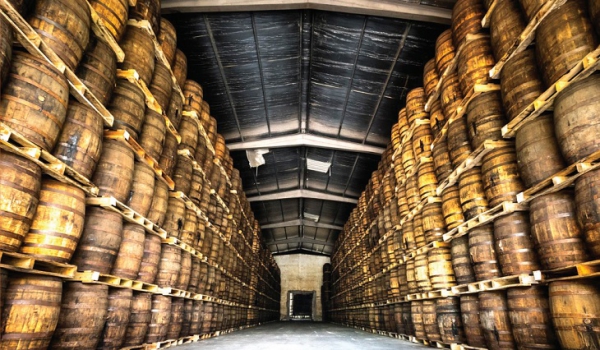 En ruta hacia una Denominación de Origen para el Ron Dominicano